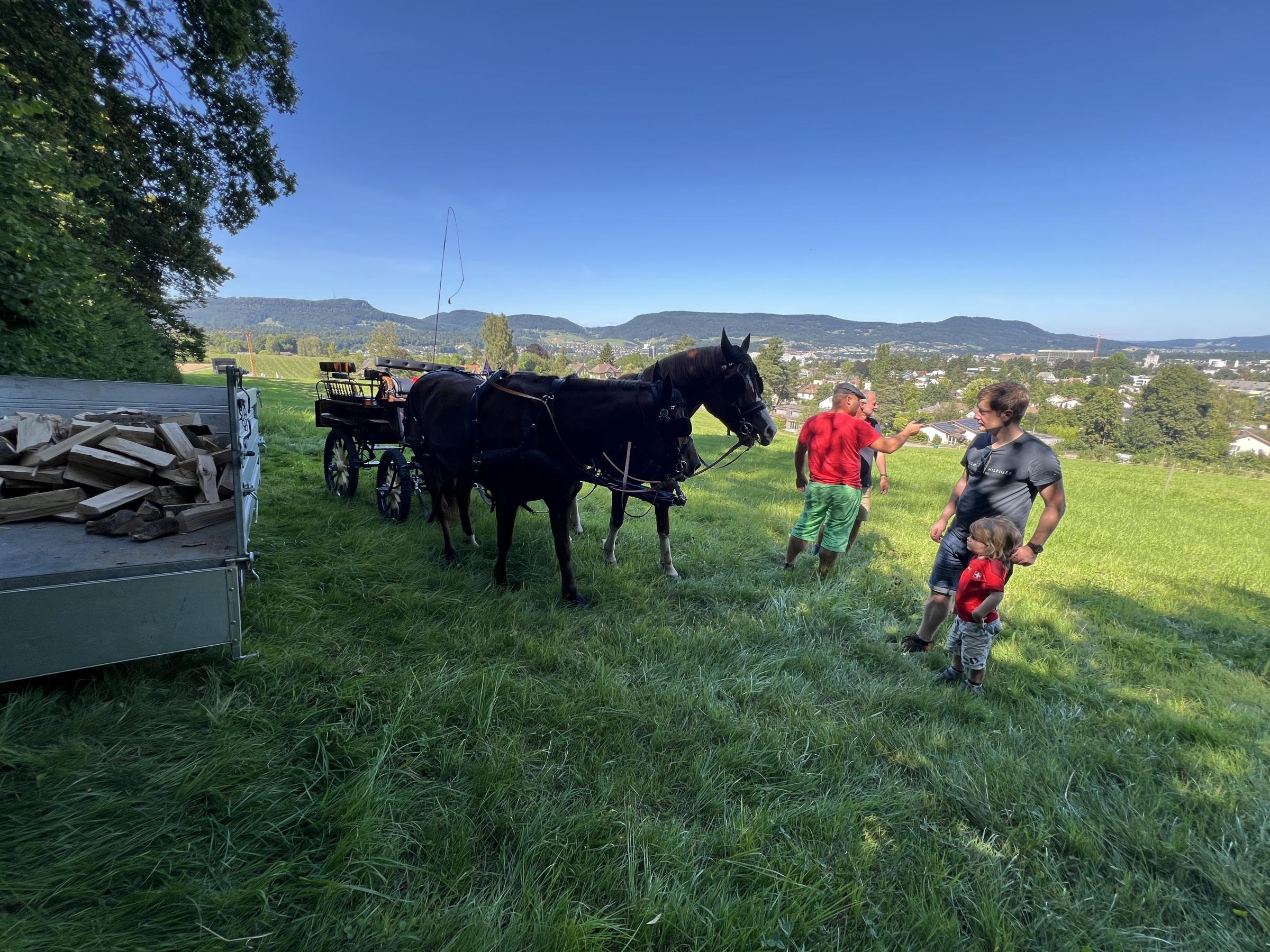 Bräteln bei der Friedenslinde