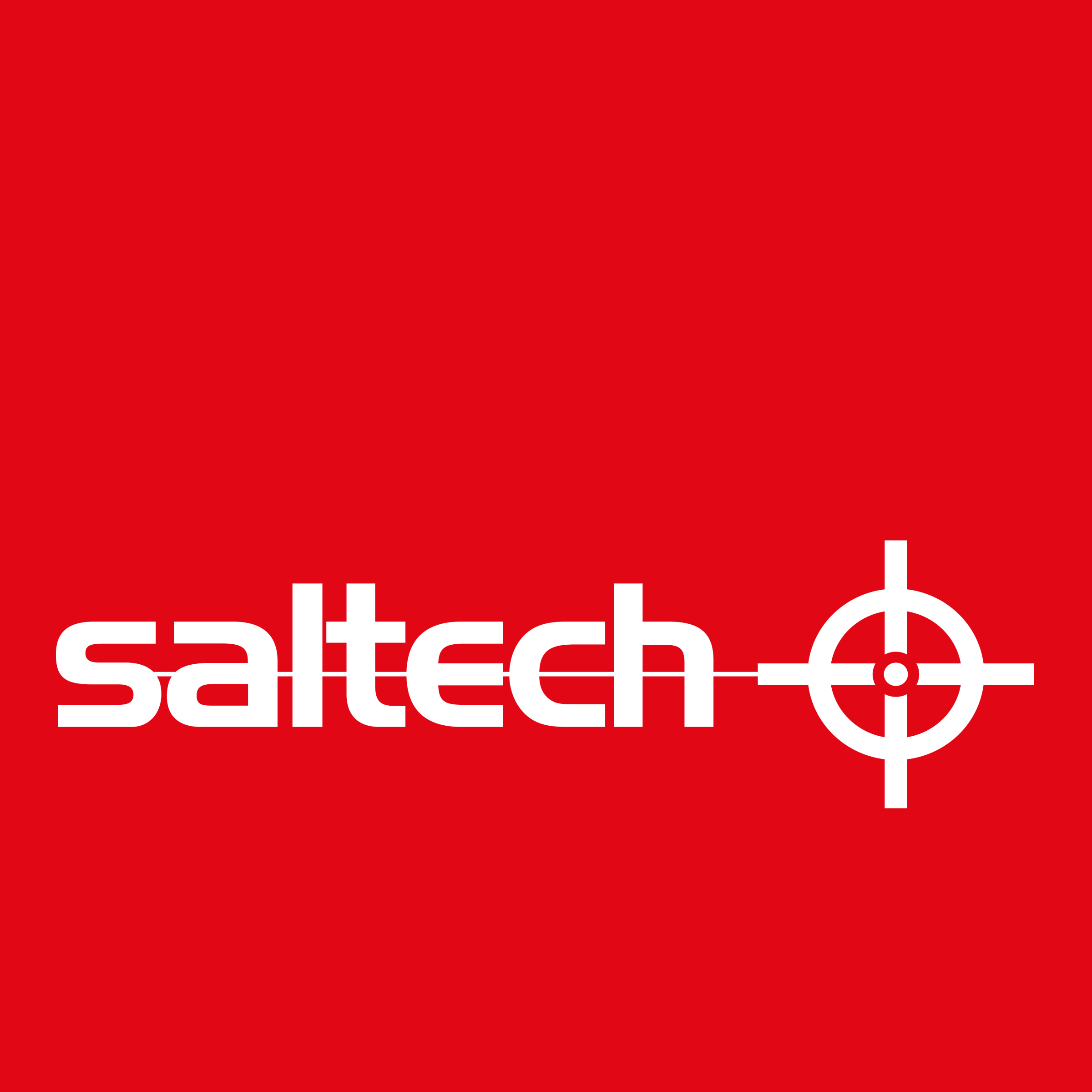 Logo Saltech
